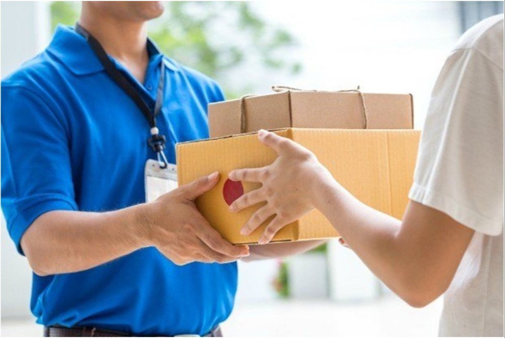 Domestic Courier Services in India